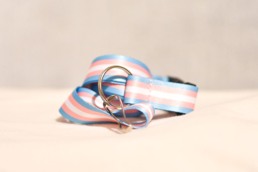 Trans Pride Lanyard