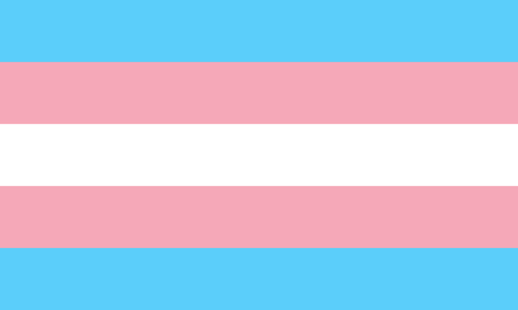 Trans Pride Flag (3×5′)